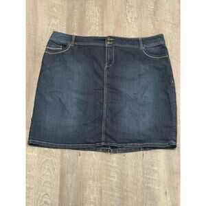 Baccini Denim Skirt Straight Stretch Thick Embroidered - 20W